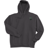 Lansing Senators Super Heavyweight Fleece Hoodie