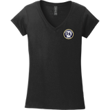 PA Brick Softstyle Ladies Fit V-Neck T-Shirt